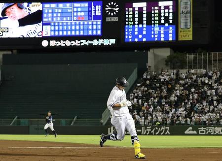 　８回、二ゴロに倒れる杉本（撮影・山口登）