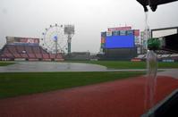 　雨で水が浮いた状態の内野グラウンド（撮影・棚橋慶太）