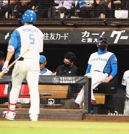 　８回、空振り三振を喫し、ベンチに戻る野村（５）と戦況を見つめる新庄監督（撮影・中島達哉）