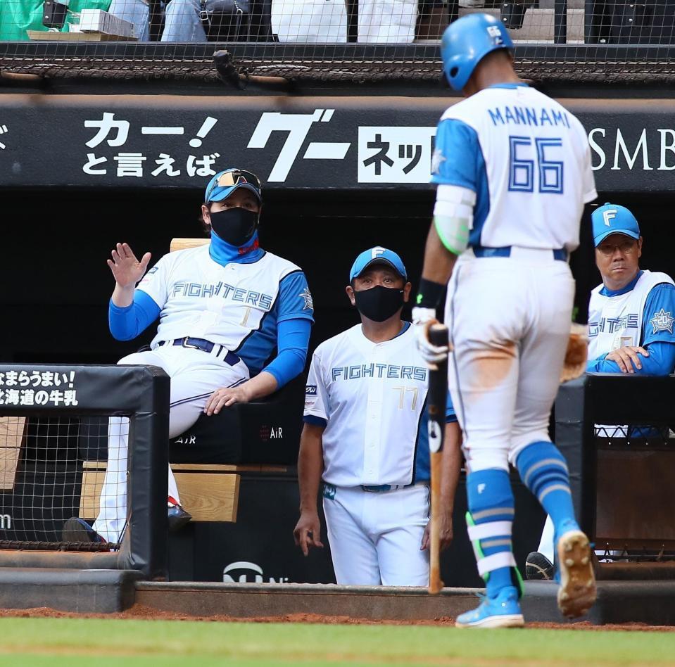 　９回、戦況を見つめる新庄監督。右は空振り三振を喫しベンチに戻る万波（撮影・中島達哉）