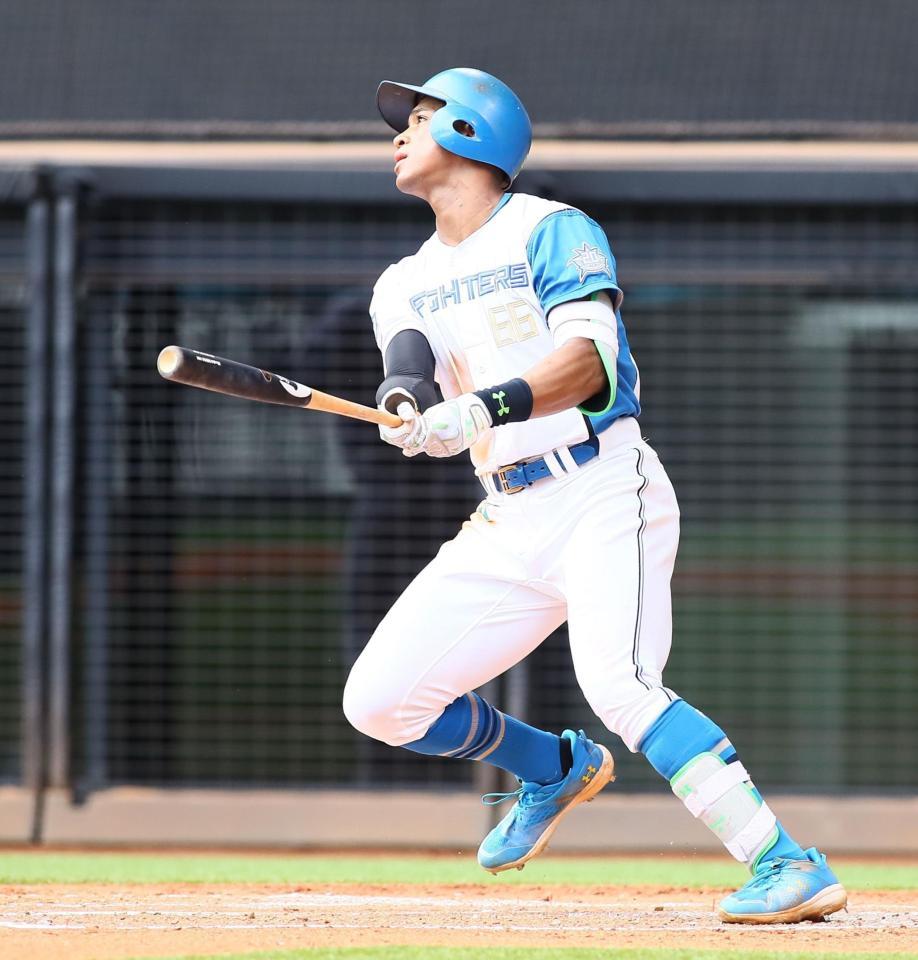 　３回、２３号同点ソロ本塁打を放つ万波（撮影・中島達哉）