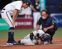 　６回、宗は自打球を足に当て倒れ込む（撮影・坂部計介）