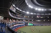 　声援を送るオリックスファン（撮影・山口登）