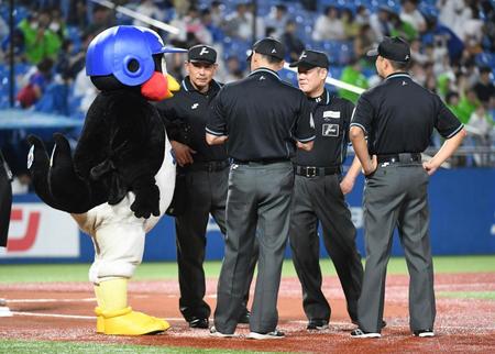 　ホームベース上で審判団と話すつば九郎（撮影・三好信也）