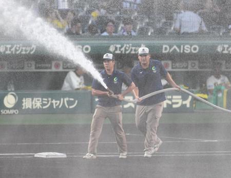 　強風の中、グラウンドに水をまく阪神園芸のスタッフ（撮影・中田匡峻）