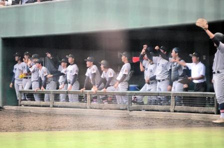 　ベンチから応援する慶応の選手ら