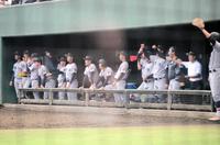 　ベンチから応援する慶応の選手ら