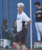 　外野で練習を見守る吉井監督（撮影・開出牧）