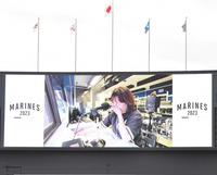 　放送ブースで号泣する姿がバックスクリーンに映し出された、今季限りで引退するアナウンス担当・谷保恵美さん（撮影・開出牧）