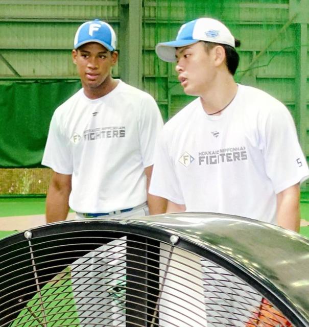 今季１３発の日本ハム・野村　来季は倍打つ「チーム内でホームラン争いできたら」