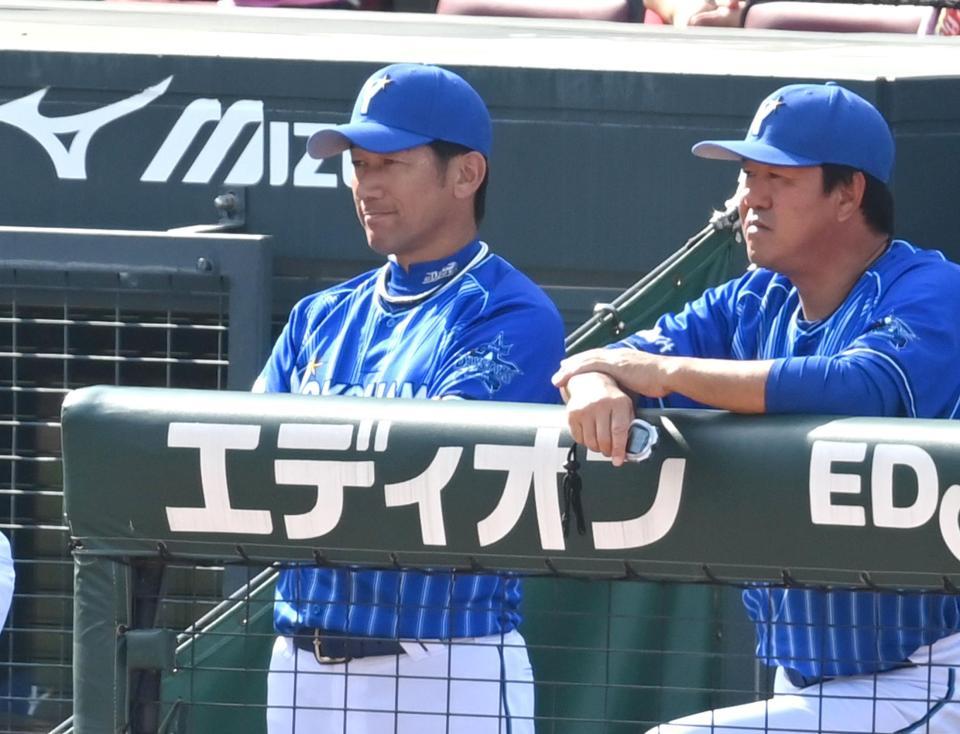 ベンチから戦況を見守る三浦監督（左）＝撮影・飯室逸平