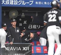 　１回、遊飛に倒れたポランコ（２２）とベンチの吉井監督（中央）＝撮影・北村雅宏