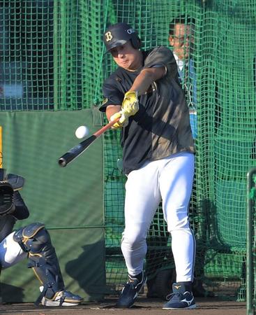 　試合前、フリー打撃をする杉本（撮影・北村雅宏）