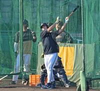 　フリー打撃をする杉本（撮影・立川洋一郎）