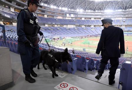 　警察犬が球場内を警戒する（撮影・山口登）