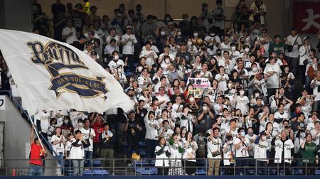 【写真】連日観戦　甲子園はもちろん京セラも　試合を見つめる“世界”の虎党俳優