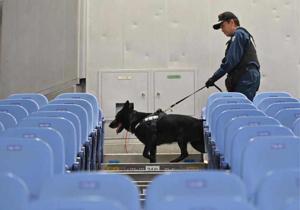 　開場前にスタンドを巡回する警備犬（撮影・西岡正）