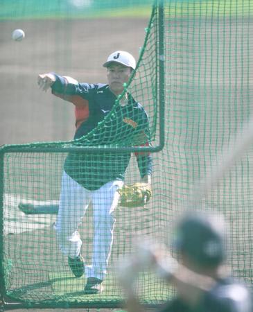 　打撃練習をする秋広優人（手前）に投げる井端監督＝宮崎市清武総合運動公園・ＳＯＫＫＥＮスタジアム（撮影・中田匡峻）