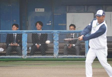 　投手練習を見つめる明大・石原（左端）と専大・西舘（左から２人目）