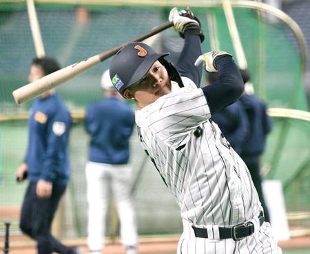 侍初陣　森下「３番」中軸抜てき　井端監督がキーマンに指名　日本一導いた勝負強さ期待