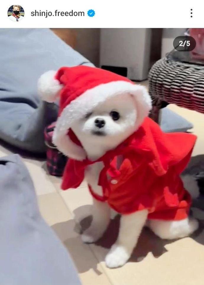 　新庄剛志インスタグラム（＠ｓｈｉｎｊｏ．ｆｒｅｅｄｏｍ）から