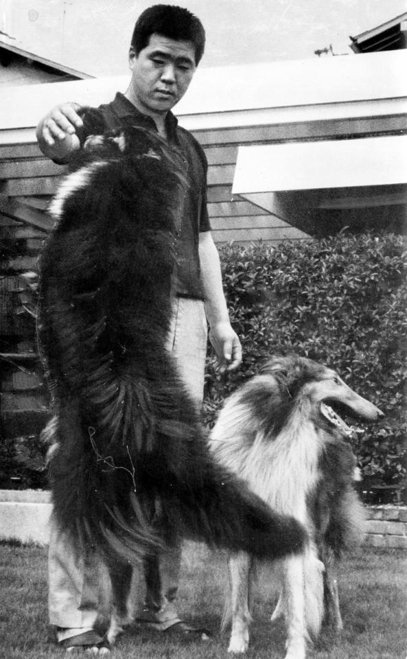 　愛犬と戯れる南海・野村克也＝１９５４～１９７７年