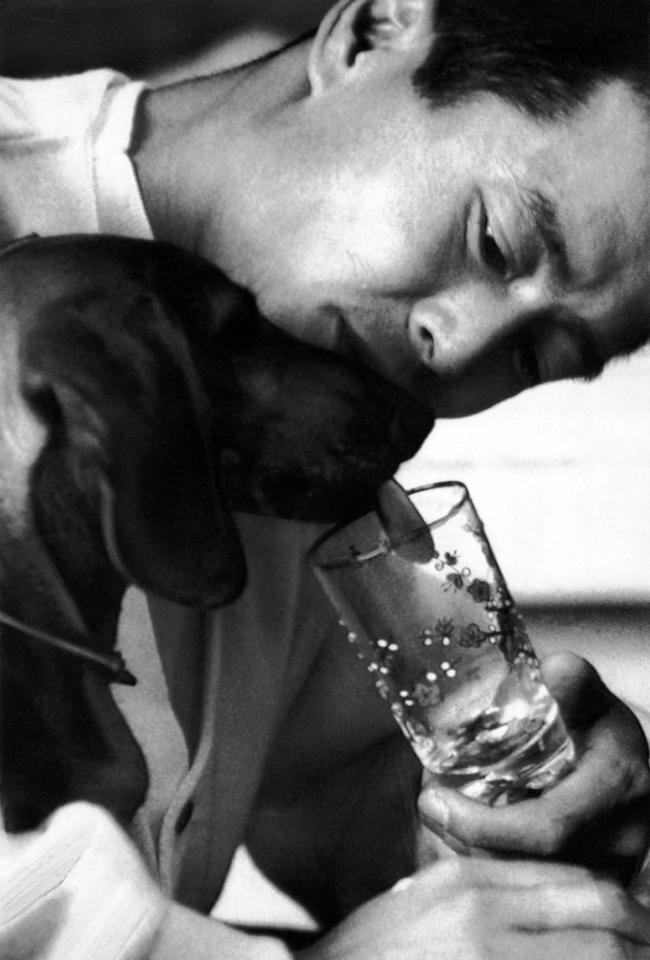 　愛犬チビと楽しいひと時を過ごす巨人・王貞治＝１９６７年５月７日