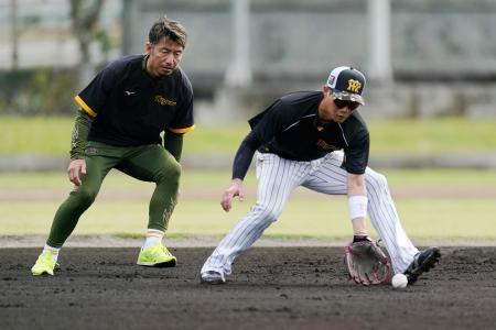 　守備練習で阪神・木浪（右）を指導する鳥谷臨時コーチ＝宜野座