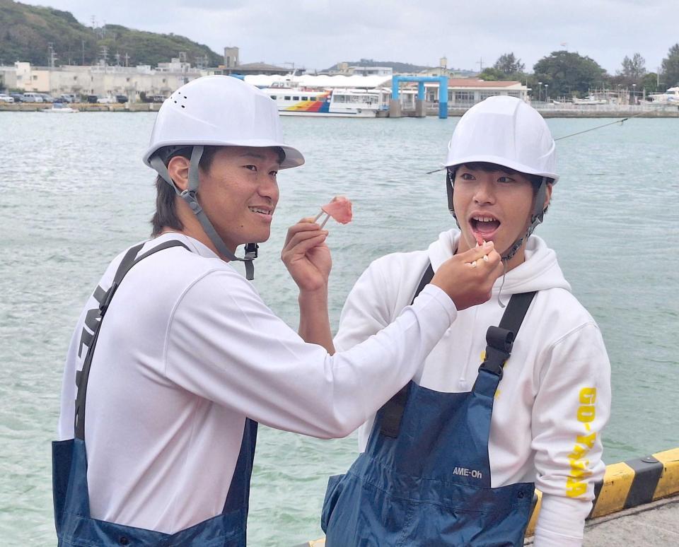 　同期の井上（左）とマグロを食べさせっこする度会