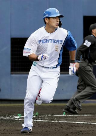 　紅白戦で本塁打を放つ日本ハム・野村＝名護