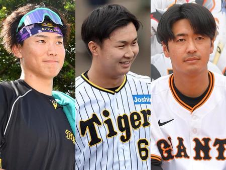 プロ野球選手に聞いてみた「キャンプ生活の癒やしは？」　湯浅「マッサージしながら青汁」睡眠、愛犬の写真も