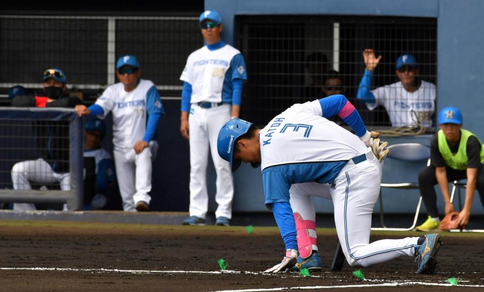 　１回、死球を受けうずくまる加藤豪（左は新庄監督）＝撮影・持木克友