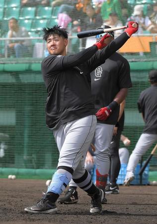 　ロングティーを打つ岡本和