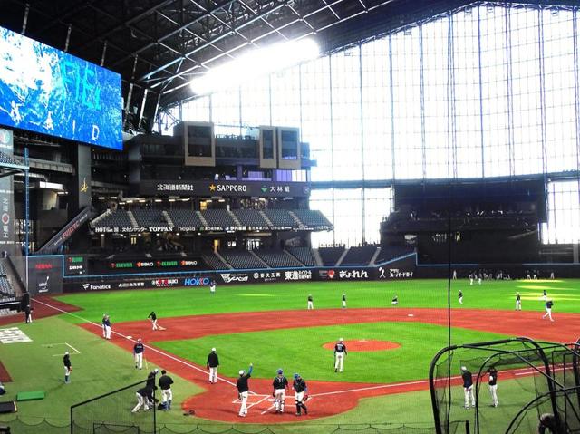 匿名即日発送　北海道日本ハムファイターズ　新庄剛志　エスコンフィールド　Lサイズ 匿名即日発送 北海道日本ハムファイターズ 新庄剛志 エスコン