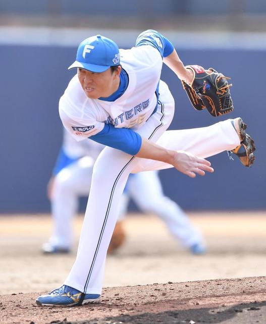 2024 オールスター試合球 日本ハムファイターズ 田中正義 直筆サインボール 2024 オールスター試合球 日本ハムファイターズ 田中正義 直筆