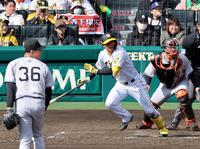 　５回、森下を三塁ゴロに打ち取る馬場（撮影・山口登）