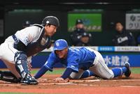 　２回、木下の右前打で高橋周が生還（撮影・佐々木彰尚）