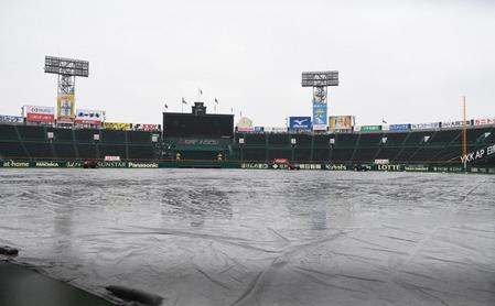 　降雨の甲子園球場（撮影・佐々木彰尚）