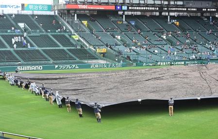 　グラウンドからシートが取り除かれる甲子園（撮影・北村雅宏）
