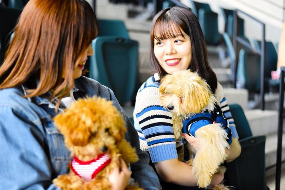 　日本ハムが愛犬と楽しめる「ワンだふるフェスティバル」を開催、愛犬と観戦できるシートに座るファイターズガールの鈴木穂乃花さん（左）と田中杏奈さん（球団提供）