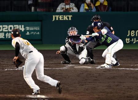 　７回、スクイズを決める小川（撮影・山口登）