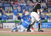 　７回塁、細川の左犠飛で三塁から同点のホームに滑り込む代走の五十幡（左）。捕手・佐藤（撮影・開出牧）