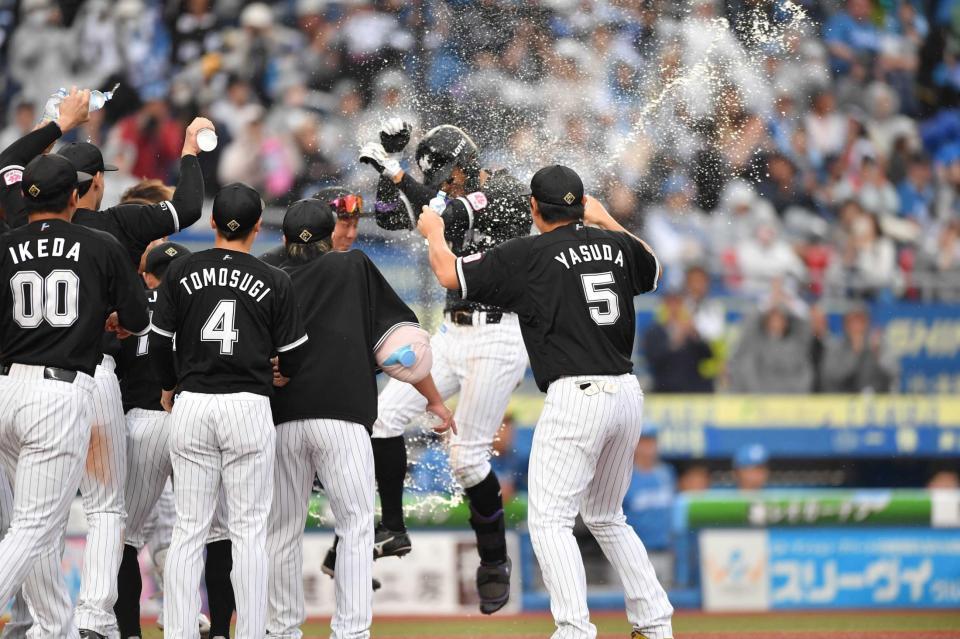 　サヨナラ本塁打を放ちナインから手荒い祝福を受ける岡（撮影・開出牧）