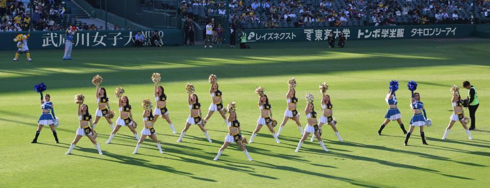 　試合前、コラボするＴｉｇｅｒｓＧｉｒｌｓとファイターズガール＝２９日