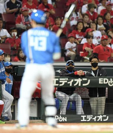 　６回、空振り三振に倒れた水野を見つめる新庄監督（撮影・市尻達拡）