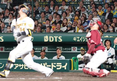 　９回、原口が凡打に倒れゲームセット。ベンチで険しい表情を浮かべる岡田監督（撮影・田中太一）