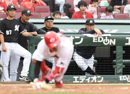 　５回、菊池のスクイズを見つめる吉井監督（撮影・市尻達拡）