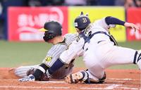 　４回、梅野の遊ゴロで本塁へ突入。タッチをかいくぐって先制点を奪う三走・原口（撮影・立川洋一郎）