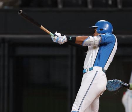 　６回、勝ち越しソロを放つ万波（撮影・中島達哉）