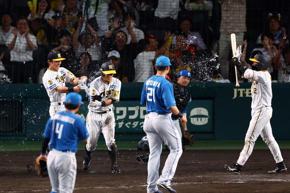 　１１回、バッテリーエラーで植田が生還し、阪神がサヨナラ勝ち（撮影・山口登）